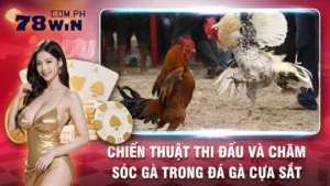 đá gà cựa sắt 78win 02