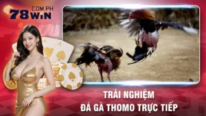 đá gà thomo 78win 01